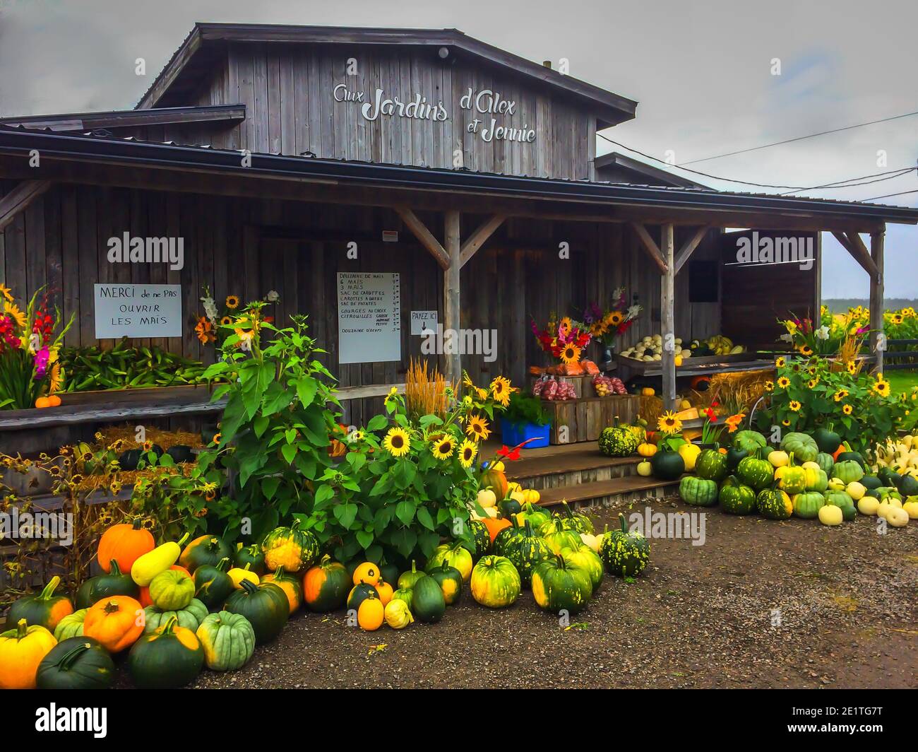 Chicoutimi, Canada, Sept 2019, pumpkins and flowers at the entrance of `Aux Jardins d`Alex and Jennie` a fruit, vegetable, and a flower store Stock Photo